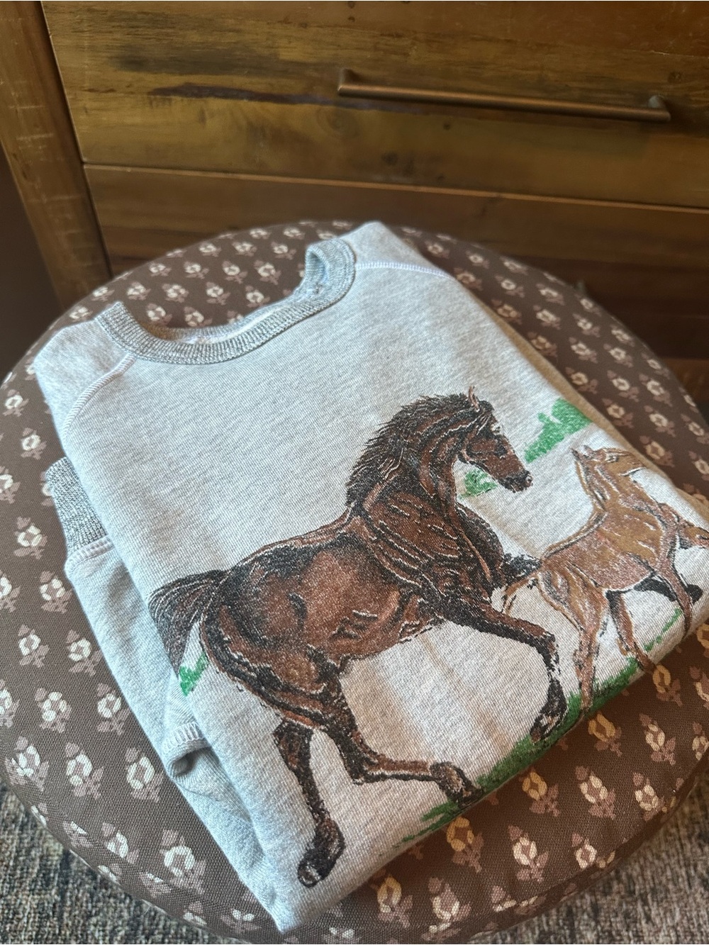 THE GREAT. The College Graphic Sweatshirt in Running Horses - Picture 9 of 9